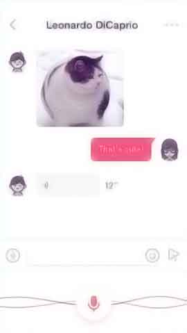 Web漏洞扫描工具软件程序维护界面